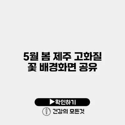 5월 봄 제주 고화질 꽃 배경화면 공유