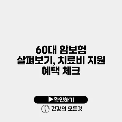 60대 암보험 살펴보기, 치료비 지원 혜택 체크
