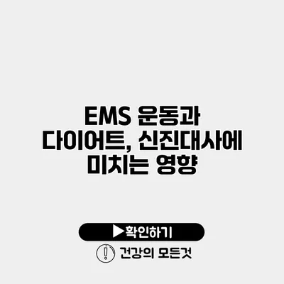 EMS 운동과 다이어트, 신진대사에 미치는 영향