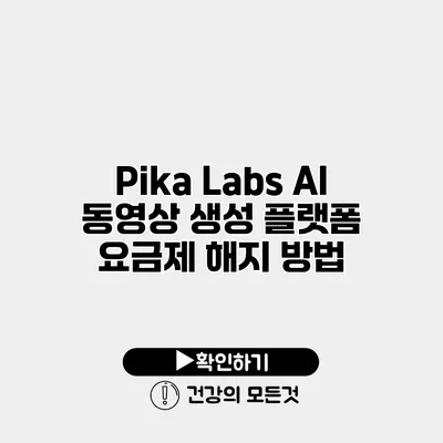 Pika Labs AI 동영상 생성 플랫폼 요금제 해지 방법