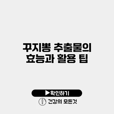 꾸지뽕 추출물의 효능과 활용 팁
