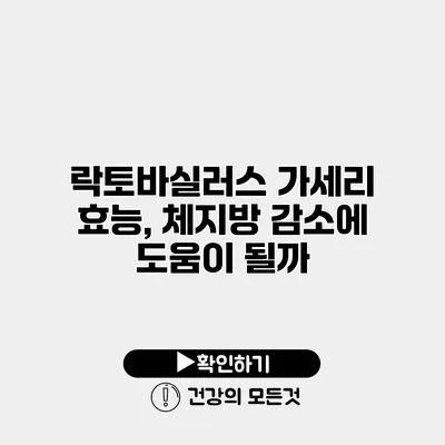 락토바실러스 가세리 효능, 체지방 감소에 도움이 될까?