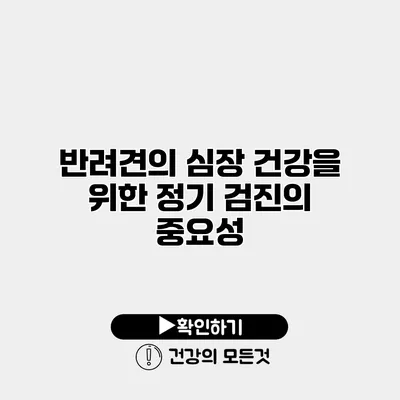 반려견의 심장 건강을 위한 정기 검진의 중요성
