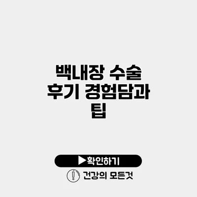백내장 수술 후기 경험담과 팁