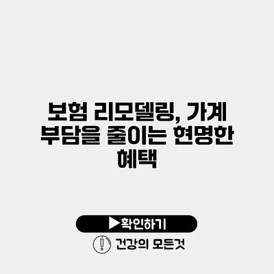 보험 리모델링, 가계 부담을 줄이는 현명한 혜택
