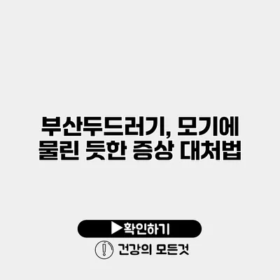 부산두드러기, 모기에 물린 듯한 증상 대처법