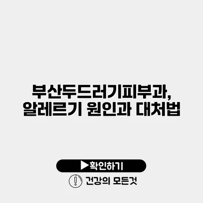 부산두드러기피부과, 알레르기 원인과 대처법
