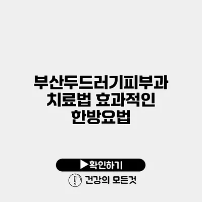 부산두드러기피부과 치료법 효과적인 한방요법