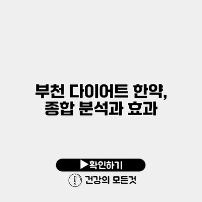 부천 다이어트 한약, 종합 분석과 효과