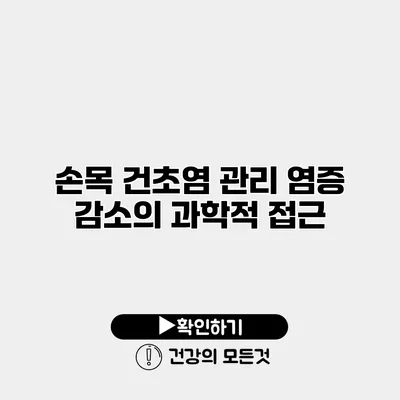 손목 건초염 관리 염증 감소의 과학적 접근