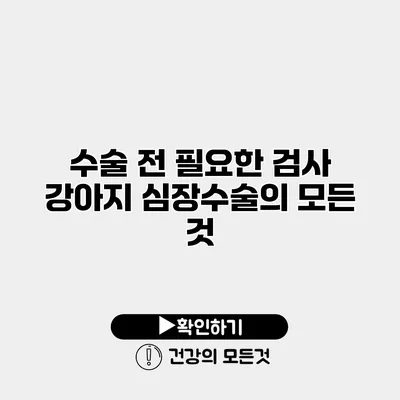 수술 전 필요한 검사 강아지 심장수술의 모든 것