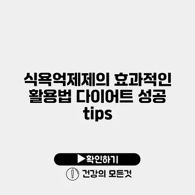 식욕억제제의 효과적인 활용법 다이어트 성공 tips