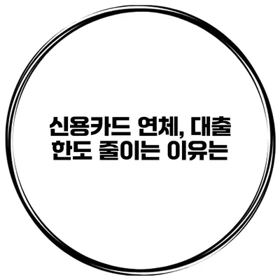 신용카드 연체, 대출 한도 줄이는 이유는?
