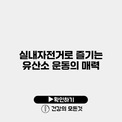 실내자전거로 즐기는 유산소 운동의 매력