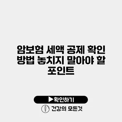 암보험 세액 공제 확인 방법 놓치지 말아야 할 포인트