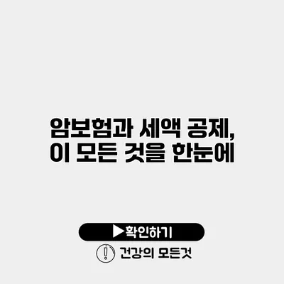 암보험과 세액 공제, 이 모든 것을 한눈에