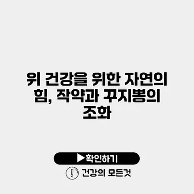 위 건강을 위한 자연의 힘, 작약과 꾸지뽕의 조화