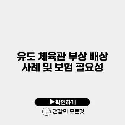 유도 체육관 부상 배상 사례 및 보험 필요성