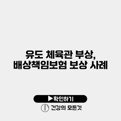 유도 체육관 부상, 배상책임보험 보상 사례