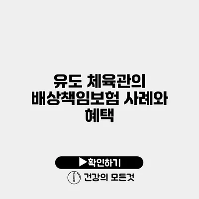유도 체육관의 배상책임보험 사례와 혜택
