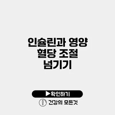 인슐린과 영양 혈당 조절 넘기기