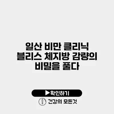 일산 비만 클리닉 블리스 체지방 감량의 비밀을 풀다