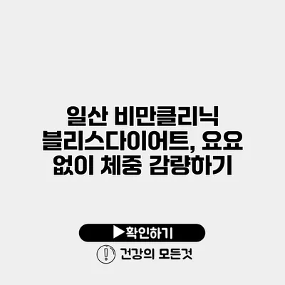 일산 비만클리닉 블리스다이어트, 요요 없이 체중 감량하기