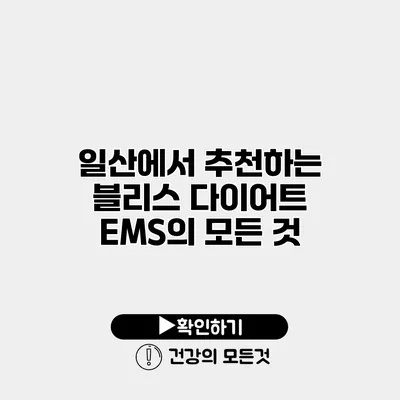 일산에서 추천하는 블리스 다이어트 EMS의 모든 것