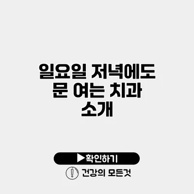 일요일 저녁에도 문 여는 치과 소개