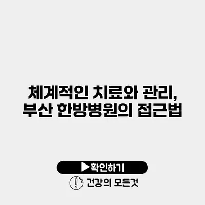 체계적인 치료와 관리, 부산 한방병원의 접근법