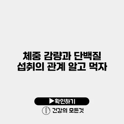 체중 감량과 단백질 섭취의 관계 알고 먹자