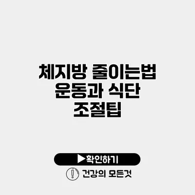체지방 줄이는법 운동과 식단 조절팁