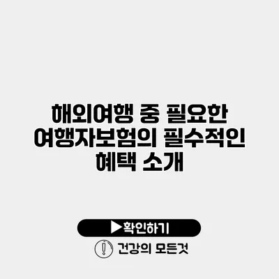 해외여행 중 필요한 여행자보험의 필수적인 혜택 소개