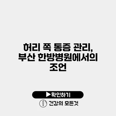 허리 쪽 통증 관리, 부산 한방병원에서의 조언