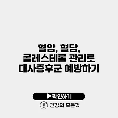 혈압, 혈당, 콜레스테롤 관리로 대사증후군 예방하기