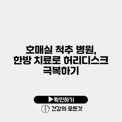 호매실 척추 병원, 한방 치료로 허리디스크 극복하기