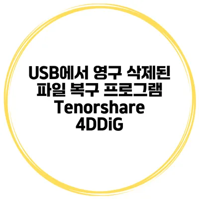 USB에서 영구 삭제된 파일 복구 프로그램 Tenorshare 4DDiG