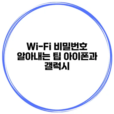 Wi-Fi 비밀번호 알아내는 팁 아이폰과 갤럭시