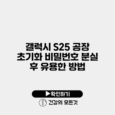 갤럭시 S25 공장 초기화 비밀번호 분실 후 유용한 방법