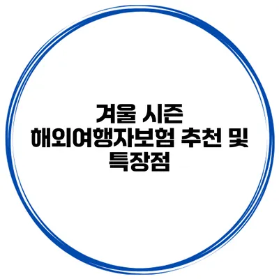 겨울 시즌 해외여행자보험 추천 및 특장점