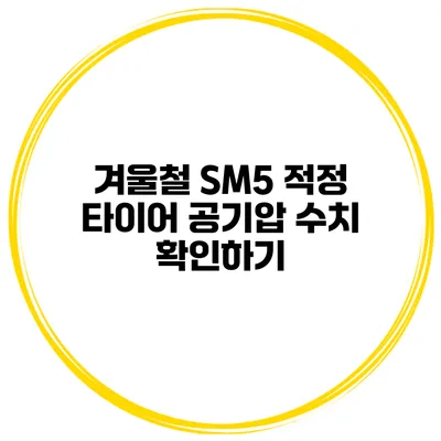 겨울철 SM5 적정 타이어 공기압 수치 확인하기