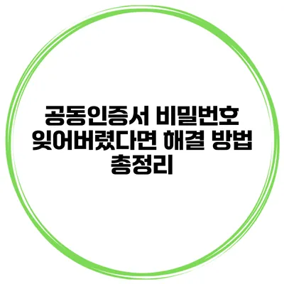 공동인증서 비밀번호 잊어버렸다면? 해결 방법 총정리