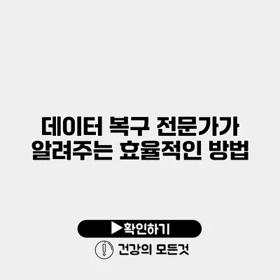 데이터 복구 전문가가 알려주는 효율적인 방법