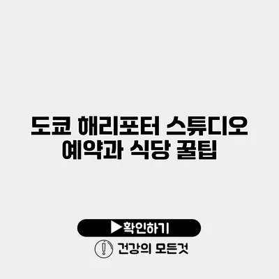 도쿄 해리포터 스튜디오 예약과 식당 꿀팁