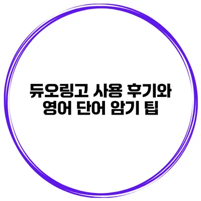 듀오링고 사용 후기와 영어 단어 암기 팁