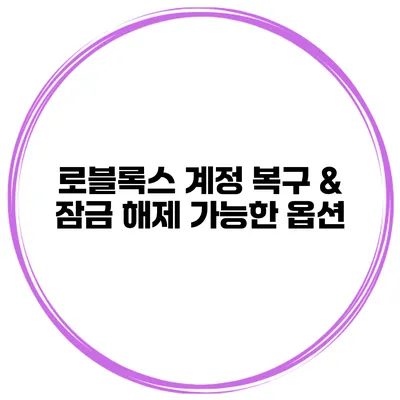 로블록스 계정 복구 & 잠금 해제 가능한 옵션