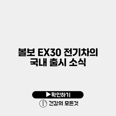 볼보 EX30 전기차의 국내 출시 소식