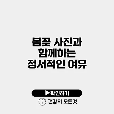 봄꽃 사진과 함께하는 정서적인 여유