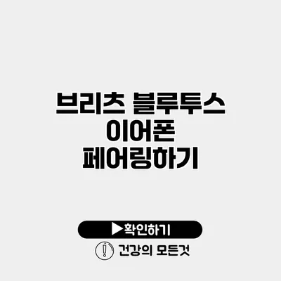브리츠 블루투스 이어폰 페어링하기