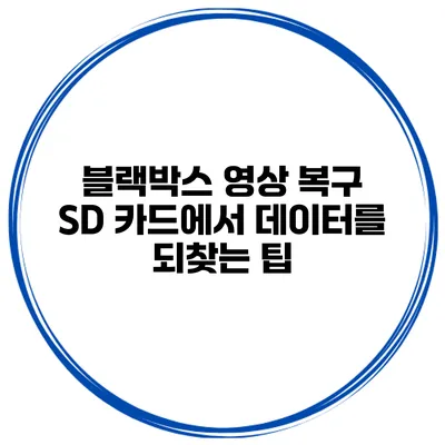 블랙박스 영상 복구 SD 카드에서 데이터를 되찾는 팁